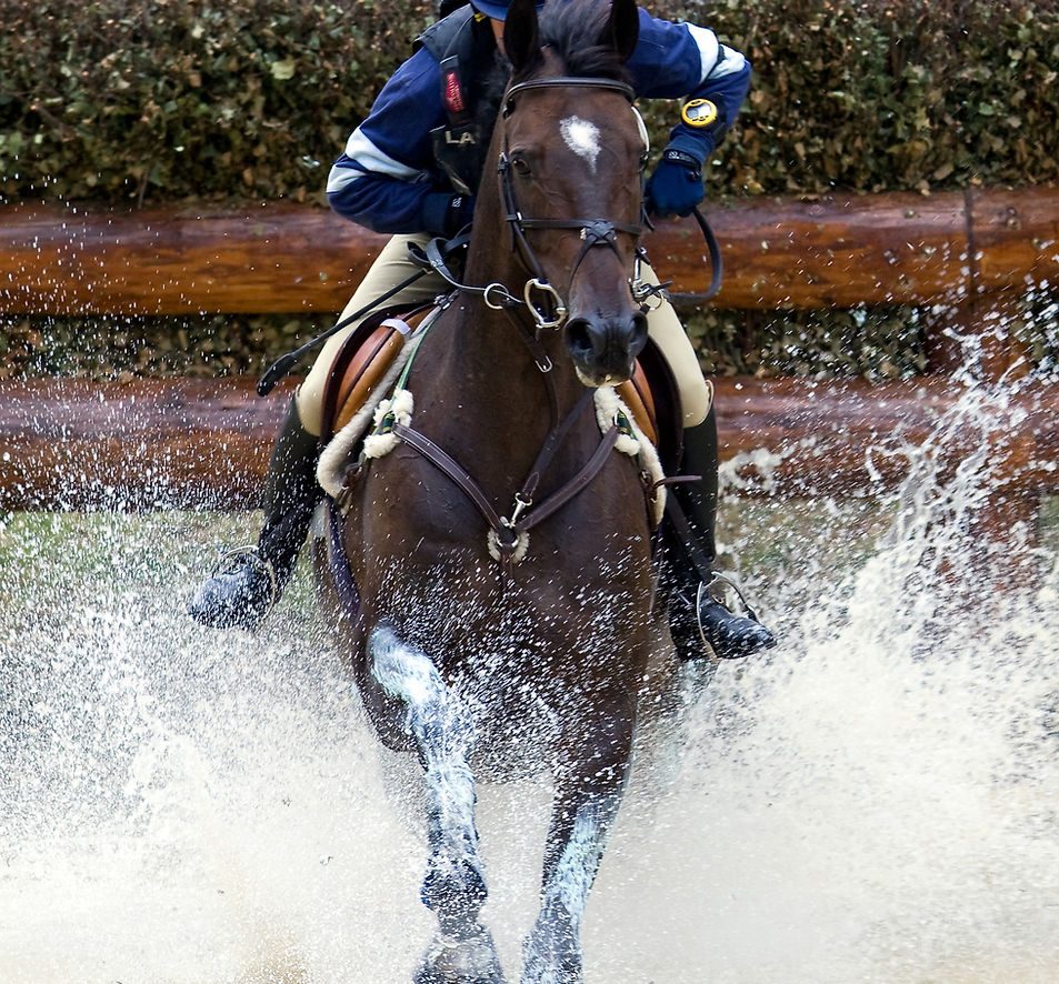 Cheval de concours complet franchissant un obstacle d'eau