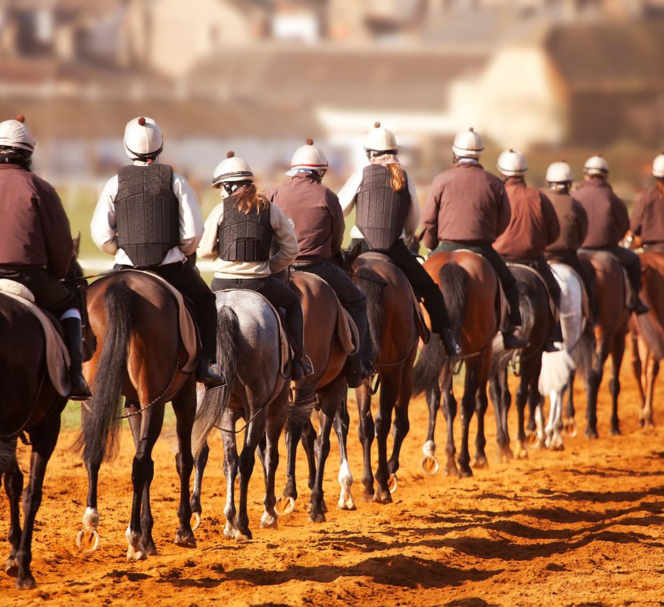 File de chevaux à l'entraînement au petit matin
