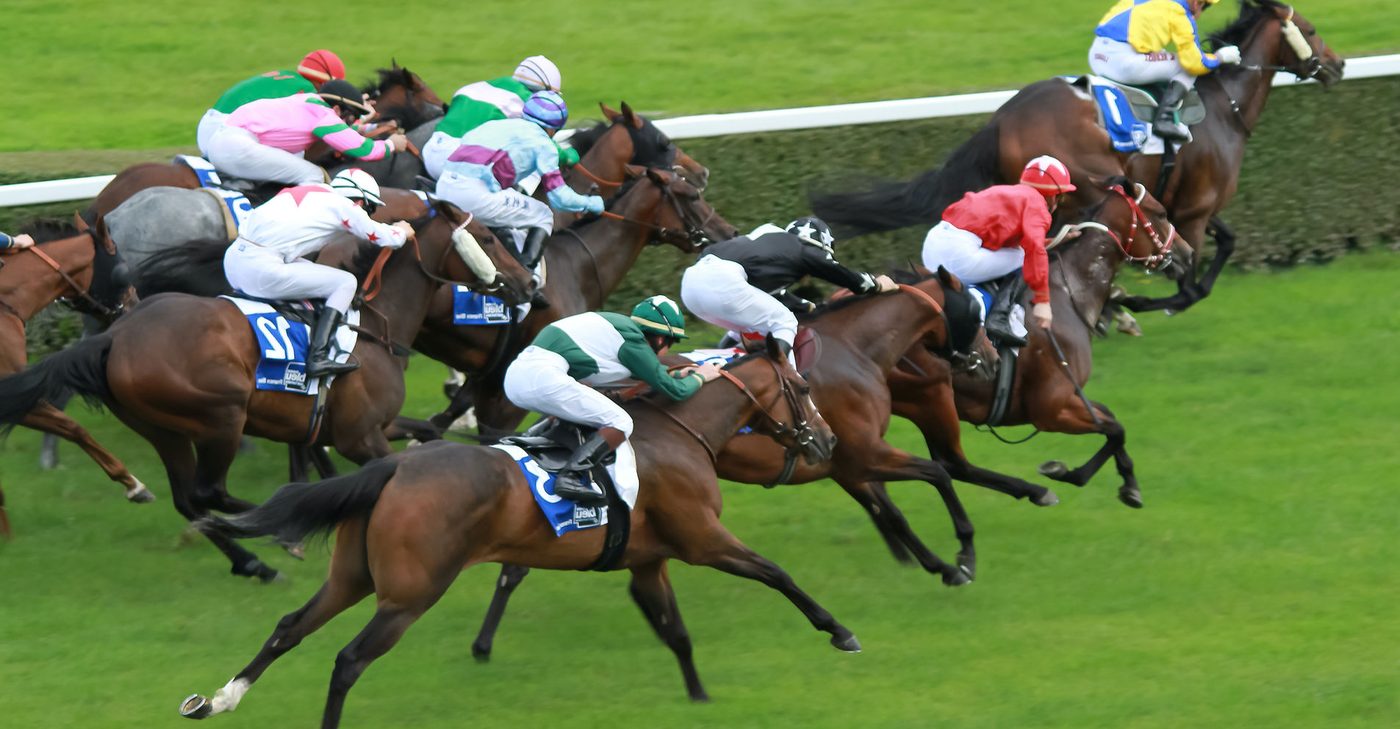 Course de galop, dernière ligne droite vers la victoire